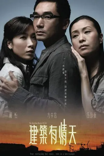 建筑有情天海报