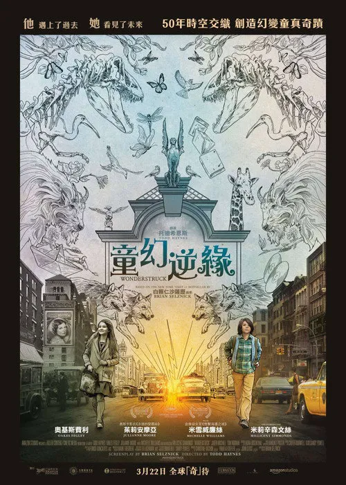 寂静中的惊奇海报