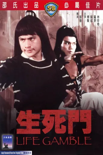 生死门海报