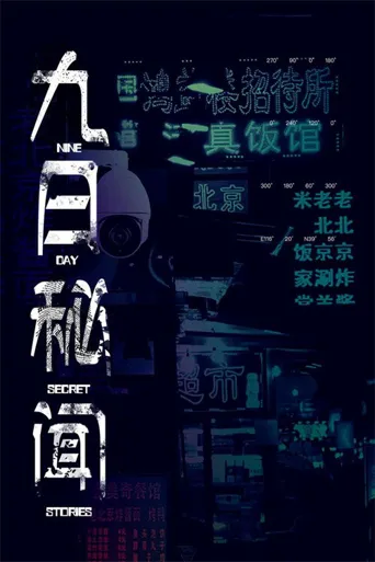 九日秘闻海报