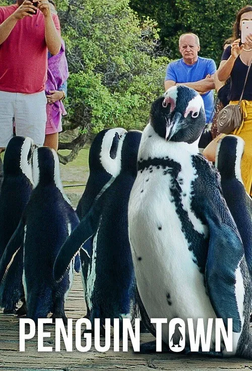 企鹅小镇海报