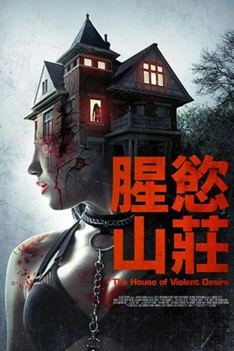 暴力欲望的房子海报