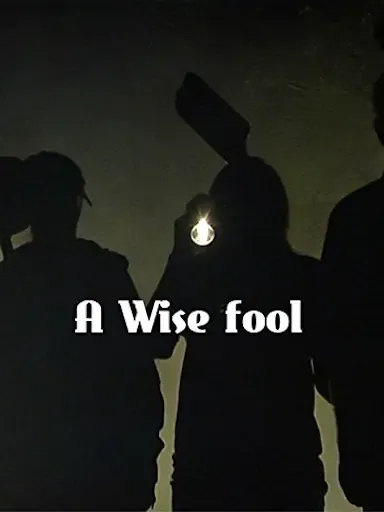 A Wise Fool海报