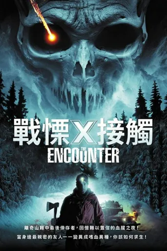 遭遇海报