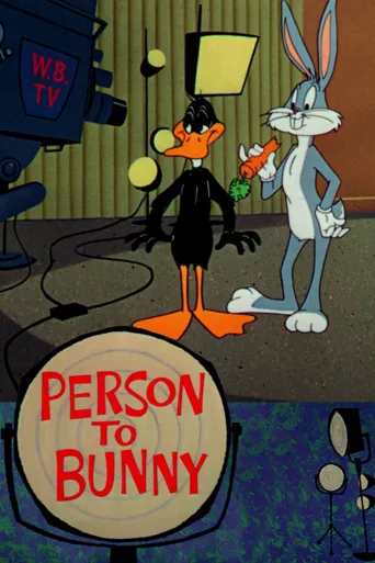Person to Bunny海报