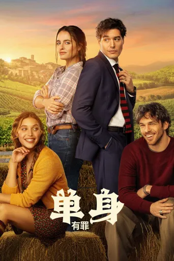 无处单身海报