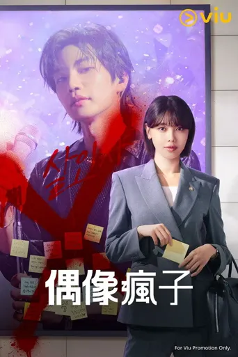 偶像疯子海报