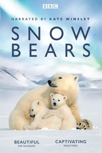 雪地求生：熊孩子的奇幻之旅海报