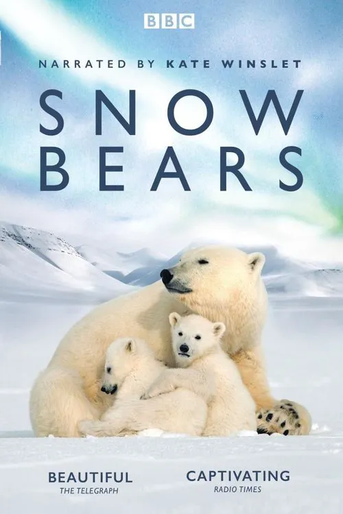 雪地求生：熊孩子的奇幻之旅海报