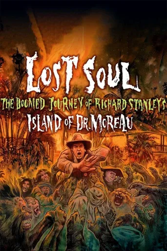 Lost Soul海报