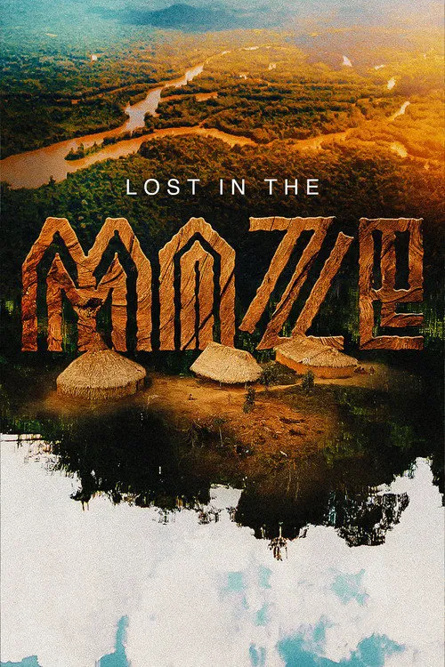 Lost in the Maze海报