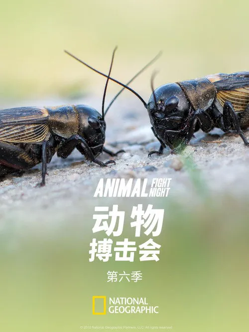 动物搏击会 第 6 季海报