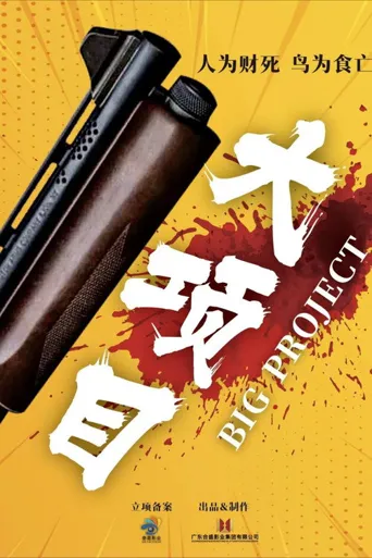 大项目海报