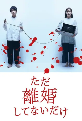 只是没离婚而已海报