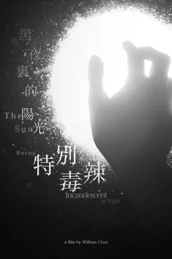 黑夜裏的陽光特別毒辣海报