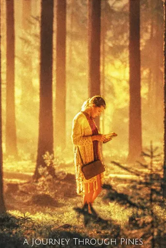 A Journey Through Pines海报
