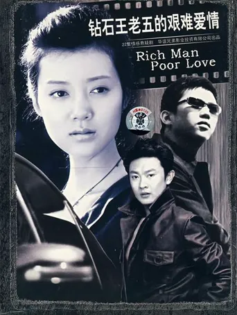 钻石王老五的艰难爱情海报