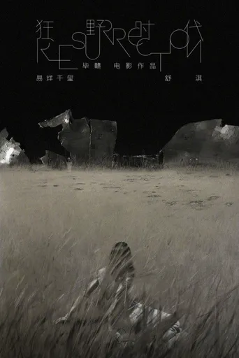 狂野时代海报