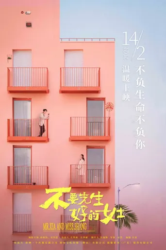不要先生与好的女士海报