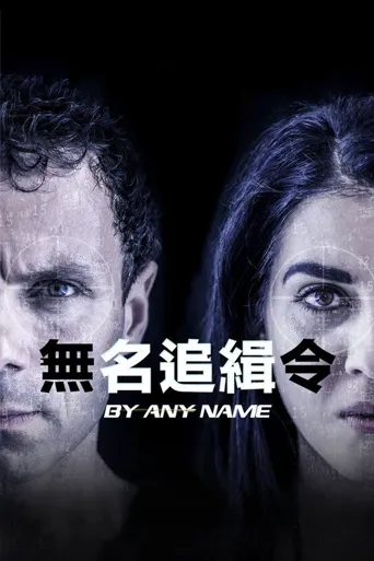无名追缉令海报