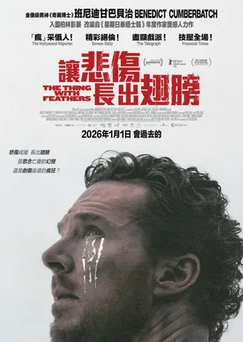 长翅膀的东西海报