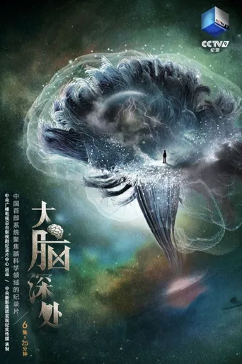 大脑深处海报