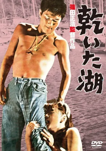 干涸的湖海报