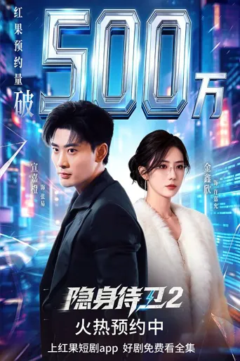 隐身侍卫2 第 1 季海报