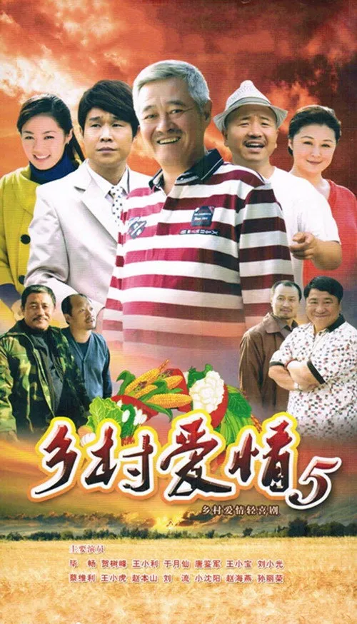 乡村爱情小夜曲海报