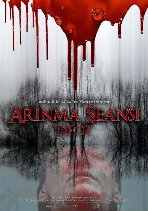 Arınma Seansı: Tarot海报