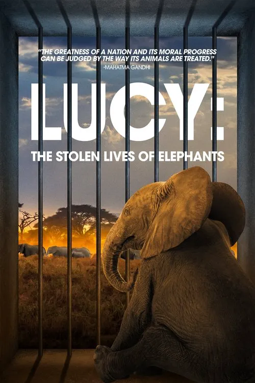 Lucy: The Stolen Lives of Elephants海报
