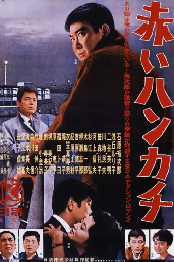 红手绢海报