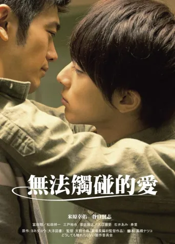 无法触碰的爱海报