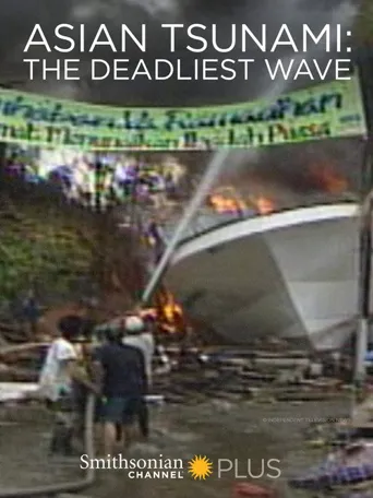 亚洲海啸：死亡之浪海报
