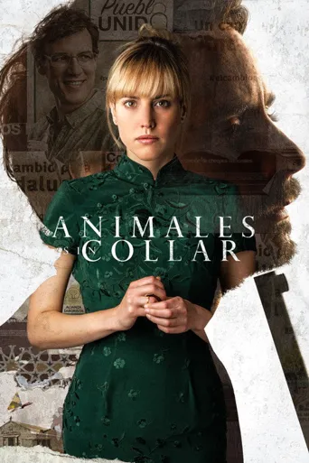 Animales sin collar海报