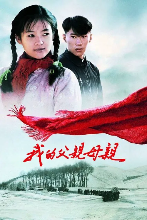 我的父亲母亲海报
