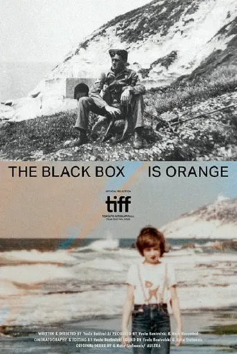 黑盒是橘色海报