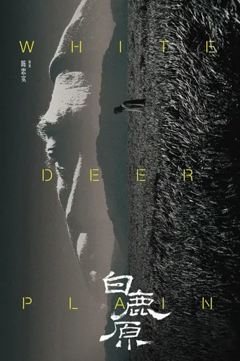 白鹿原海报