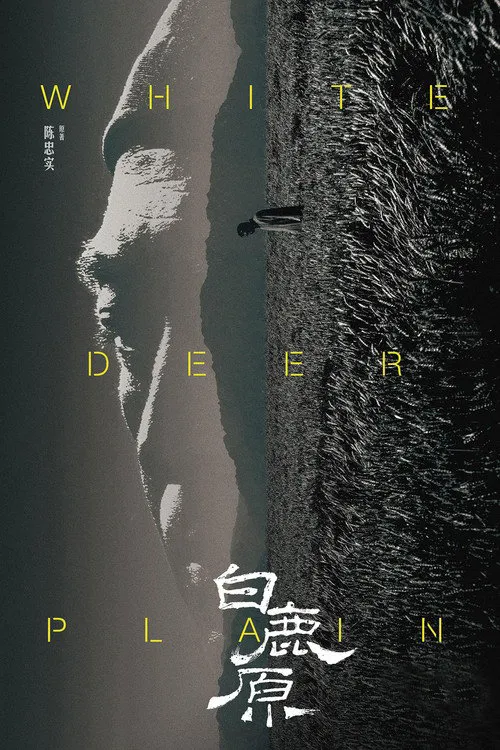 白鹿原海报