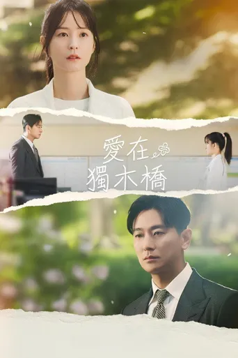 爱在独木桥海报