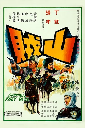 山贼海报