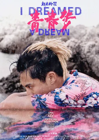 青春梦海报