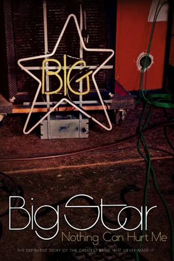 Big Star: Nothing Can Hurt Me海报