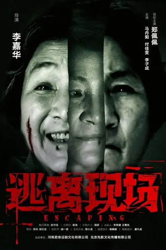 逃离现场海报