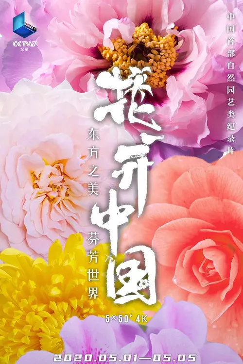 花开中国海报