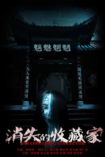 消失的收藏家海报