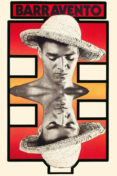 变幻的风海报