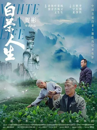 白茶人生海报