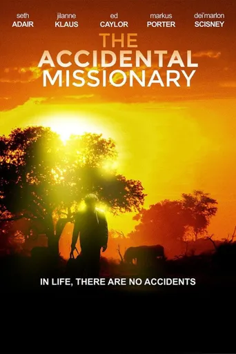 The Accidental Missionary海报