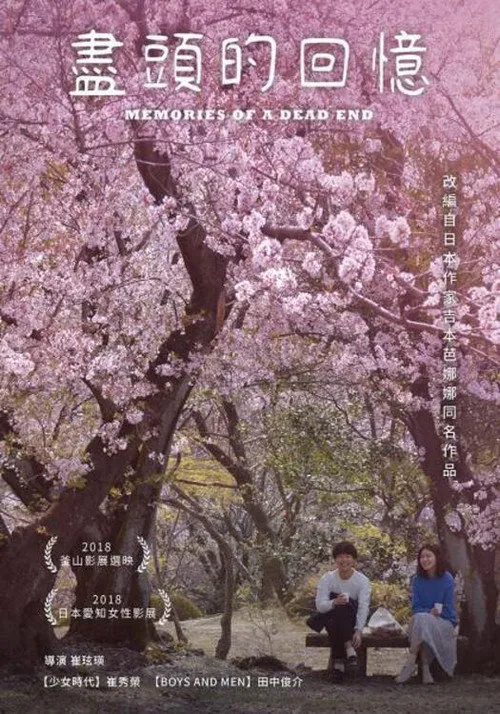 尽头的回忆海报